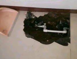 鹿泉卫生间测漏水多少钱